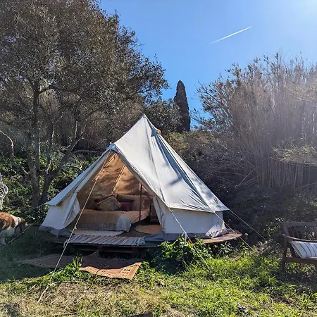 Organic Glamping * St. Paul's Bay