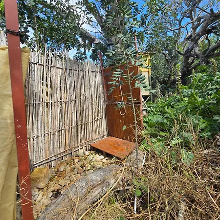 Organic Glamping Luxussátor *