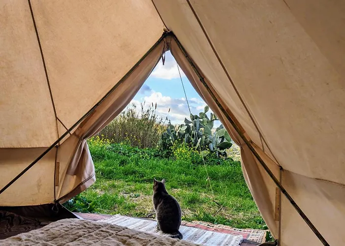 خيمة فخمة Organic Glamping *