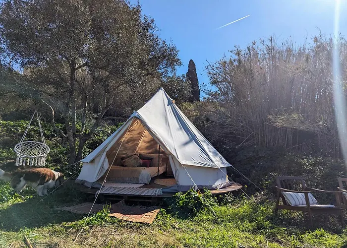 Organic Glamping * خليج سانت بول